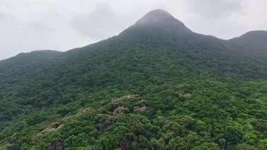 Yüksek Junk Tepesi Yolu 'nda yürüyüş, Hong Kong, 1 Mayıs 2025  