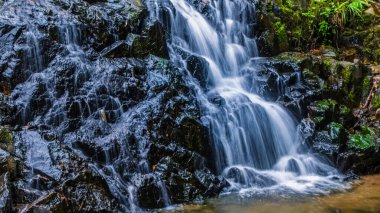 Etrafı canlı yeşilliklerle çevrili kayalık arazide şelale gibi.