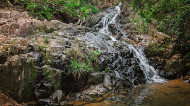 Etrafı canlı yeşilliklerle çevrili kayalık arazide şelale gibi.