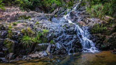 Yeşilliklerle çevrili engebeli kayaların üzerinden akan doğal bir şelale..