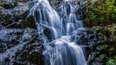 Yeşilliklerle çevrili engebeli kayaların üzerinden akan doğal bir şelale..