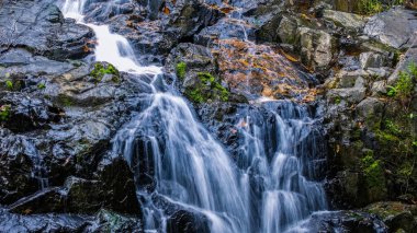Yeşilliklerle çevrili engebeli kayaların üzerinden akan doğal bir şelale..