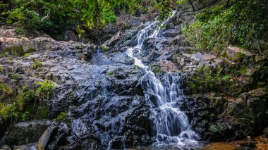 Yeşilliklerle çevrili engebeli kayaların üzerinden akan doğal bir şelale..