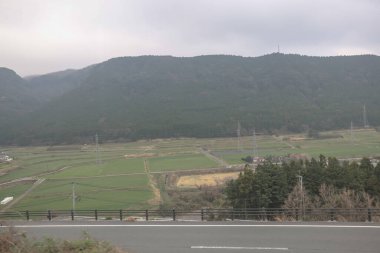 Bereketli yeşil tarlaların bulunduğu sakin kırsal alan