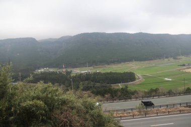 Bereketli yeşil tarlaların bulunduğu sakin kırsal alan