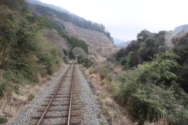 Sakin, kırsal bir demiryolu altın kırlarda seyahat eder.