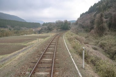 Yoğun ormanlarla çevrili yeşil kırlara giden tren yolu.