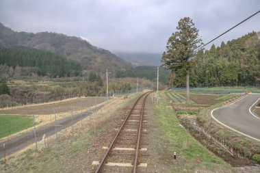 Yoğun ormanlarla çevrili yeşil kırlara giden tren yolu.