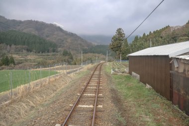 Yoğun ormanlarla çevrili yeşil kırlara giden tren yolu.