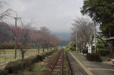 Çevresi yemyeşil demiryolu ile çevrili kırsal istasyon.