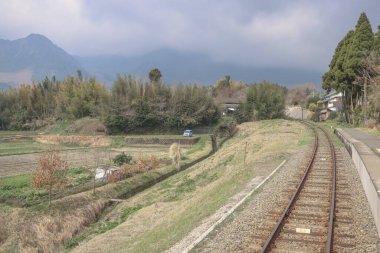 Sakin, kırsal bir demiryolu altın kırlarda seyahat eder.