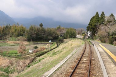 Sakin, kırsal bir demiryolu altın kırlarda seyahat eder.