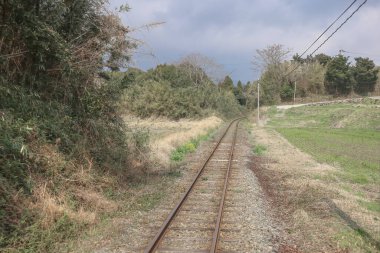 Sakin, kırsal bir demiryolu altın kırlarda seyahat eder.