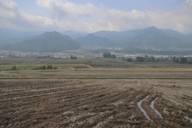 Tarımsal alanlara doğru uzanan kırsal bir yolun büyüleyici görüntüsü