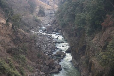 Engebeli bir vadi boyunca, engebeli arazi ve yemyeşil bitki örtüsüyle çevrili.