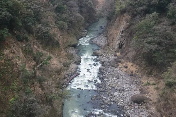 Engebeli bir vadi boyunca, engebeli arazi ve yemyeşil bitki örtüsüyle çevrili.
