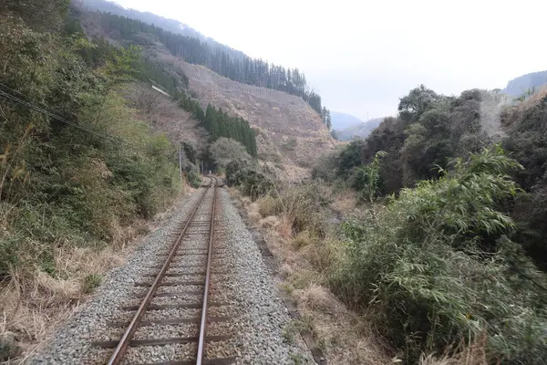 Sakin, kırsal bir demiryolu altın kırlarda seyahat eder.