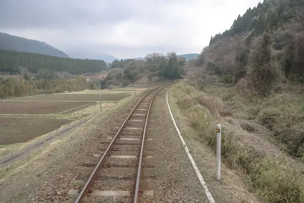 Yoğun ormanlarla çevrili yeşil kırlara giden tren yolu.