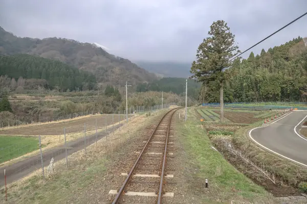 Yoğun ormanlarla çevrili yeşil kırlara giden tren yolu.