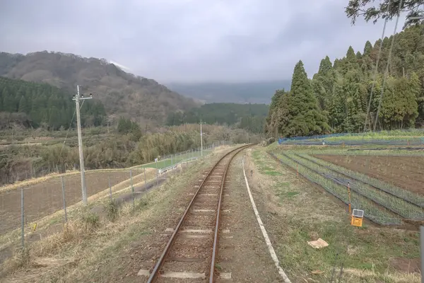 Yoğun ormanlarla çevrili yeşil kırlara giden tren yolu.