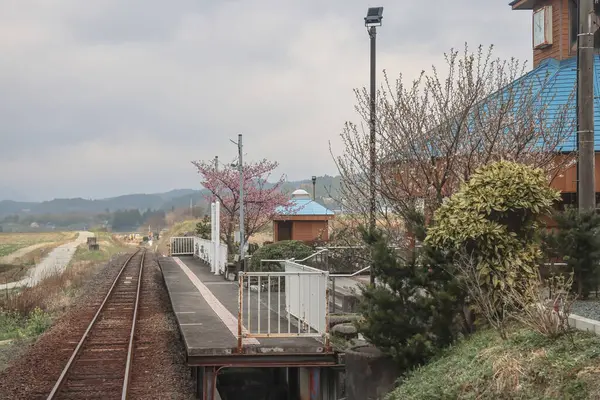 Çiçeklerin açtığı huzurlu kırsal tren istasyonu