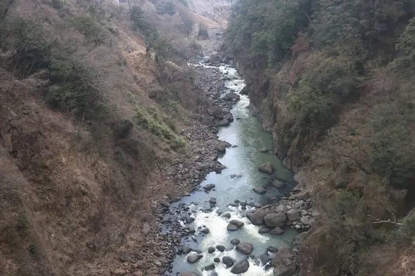 Engebeli bir vadi boyunca, engebeli arazi ve yemyeşil bitki örtüsüyle çevrili.