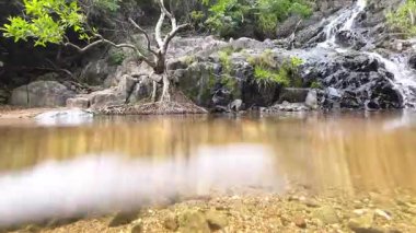 Huzurlu Siu Chik Sha Nehri 10 Mayıs 2025 Orman Akışı