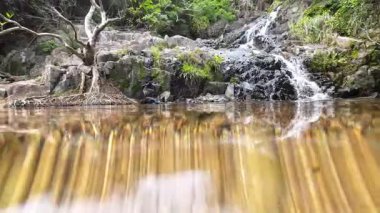 Huzurlu Siu Chik Sha Nehri 10 Mayıs 2025 Orman Akışı