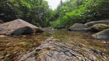 Huzurlu Siu Chik Sha Nehri 10 Mayıs 2025 Orman Akışı