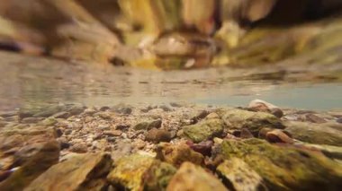 Huzurlu Siu Chik Sha Nehri 10 Mayıs 2025 Orman Akışı