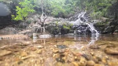 Huzurlu Siu Chik Sha Nehri 10 Mayıs 2025 Orman Akışı