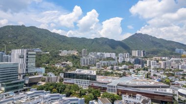 Bir yeşile karşı modern mimarinin yer aldığı canlı bir şehir.