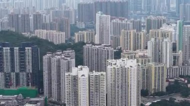 Tsing Yi 'de Ada Yaşamı ve Endüstrisi, 25 Mayıs 2025