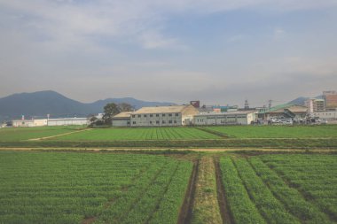 28 Mart 2025 Uzak endüstriyel binalarla geniş tarım arazileri
