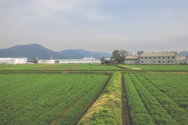 28 Mart 2025 Uzak endüstriyel binalarla geniş tarım arazileri