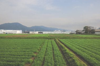 28 Mart 2025 Uzak endüstriyel binalarla geniş tarım arazileri