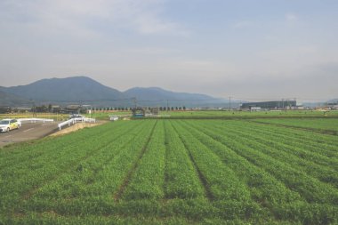 28 Mart 2025 Uzak endüstriyel binalarla geniş tarım arazileri