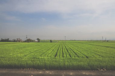 28 Mart 2025 'te modern endüstriyel yapıların önünde uzanan tarım arazileri