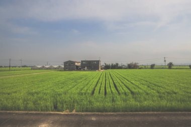 28 Mart 2025. Geniş yeşil alan, elektrik hatlarıyla kesişiyor.,