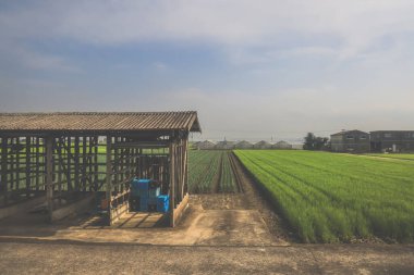 28 Mart 2025. Geniş yeşil alan, elektrik hatlarıyla kesişiyor.,