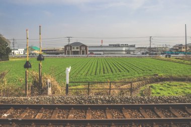 28 Mart 2025. Geniş yeşil alan, elektrik hatlarıyla kesişiyor.,