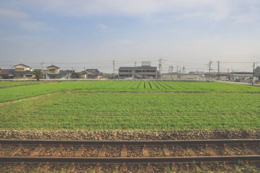 28 Mart 2025. Geniş yeşil alan, elektrik hatlarıyla kesişiyor.,