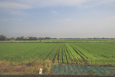 28 Mart 2025. Geniş yeşil alan, elektrik hatlarıyla kesişiyor.,