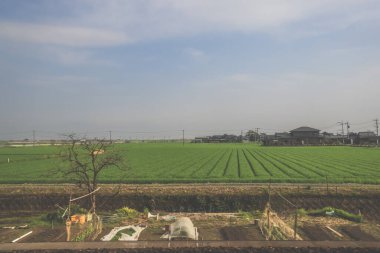 28 Mart 2025. Geniş yeşil alan, elektrik hatlarıyla kesişiyor.,