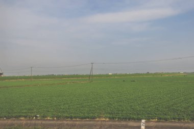 28 Mart 2025. Geniş yeşil alan, elektrik hatlarıyla kesişiyor.,