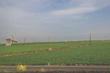 28 Mart 2025. Geniş yeşil alan, elektrik hatlarıyla kesişiyor.,