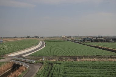 28 Mart 2025 Geniş yeşil tarım alanı ufka doğru uzanıyor