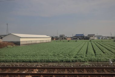 28 Mart 2025 Geniş yeşil tarım alanı ufka doğru uzanıyor