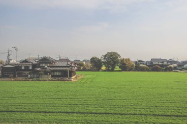 28 Mart 2025 Geniş yeşil tarım alanı ufka doğru uzanıyor