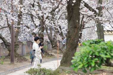 Huzurlu bir sonbahar gezintisi Resimli bir nehir kenarında